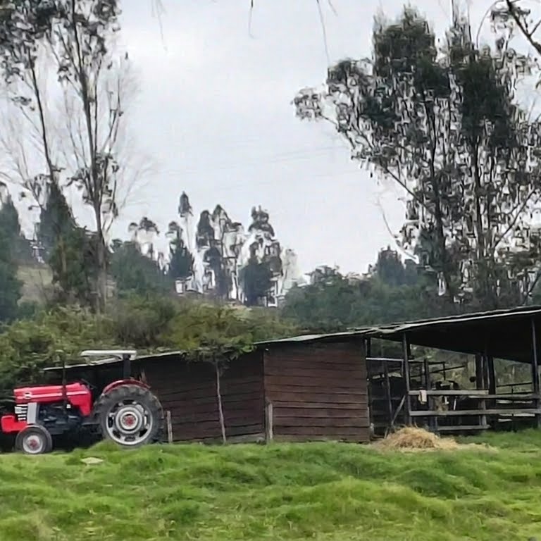 Galería 1