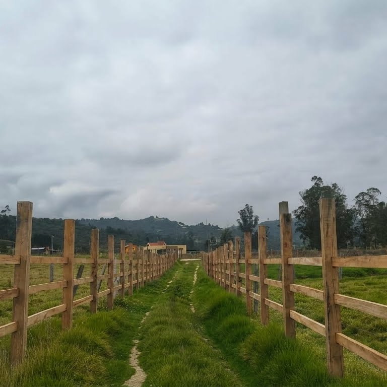 Galería 7