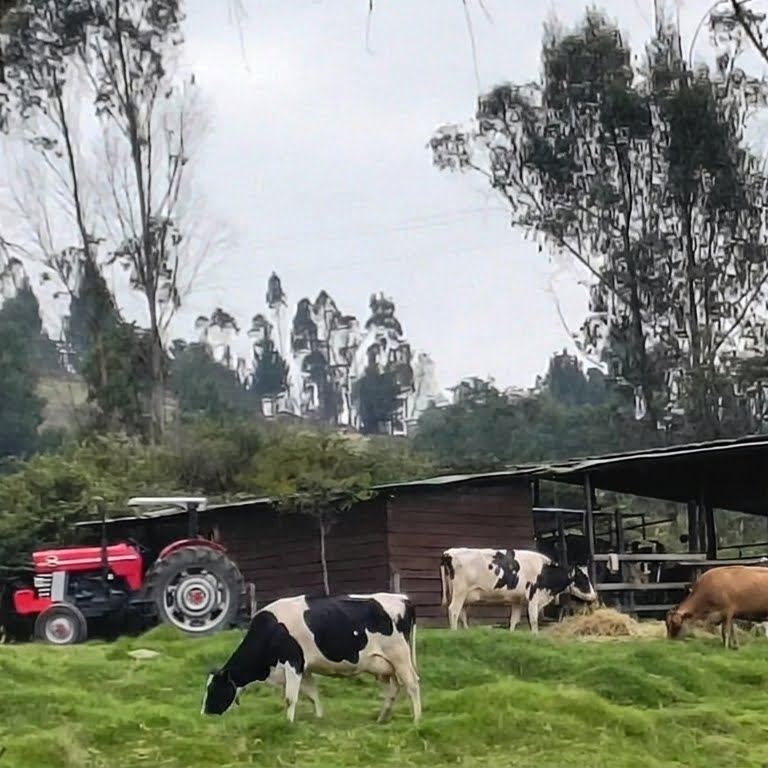 Galería 9